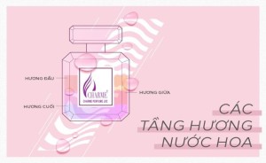 Các tầng hương nước hoa
