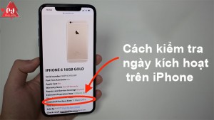 Check ngày kích hoạt iPhone