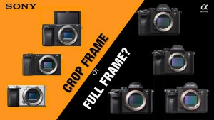 Máy ảnh Full frame là gì?