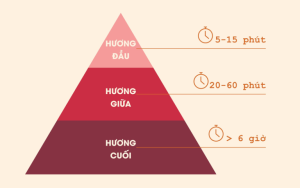 Mùi hương linear và non-linear là gì?