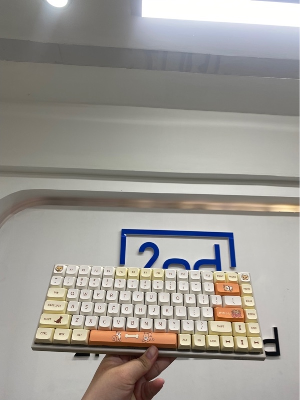 Bàn phím cơ Akko 3084 - 1 mode dây - Cherry Switch có led - Đã thay keycap shiba - Màu trắng cam - Ngoại hình 98% - Body