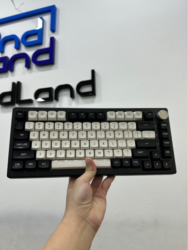 Bàn phím cơ Fuhlen H75S Panda - 3 Mode : dây , receiver , bluetooth - Màu trắng đen - Ngoại hình 97% - Kèm receiver