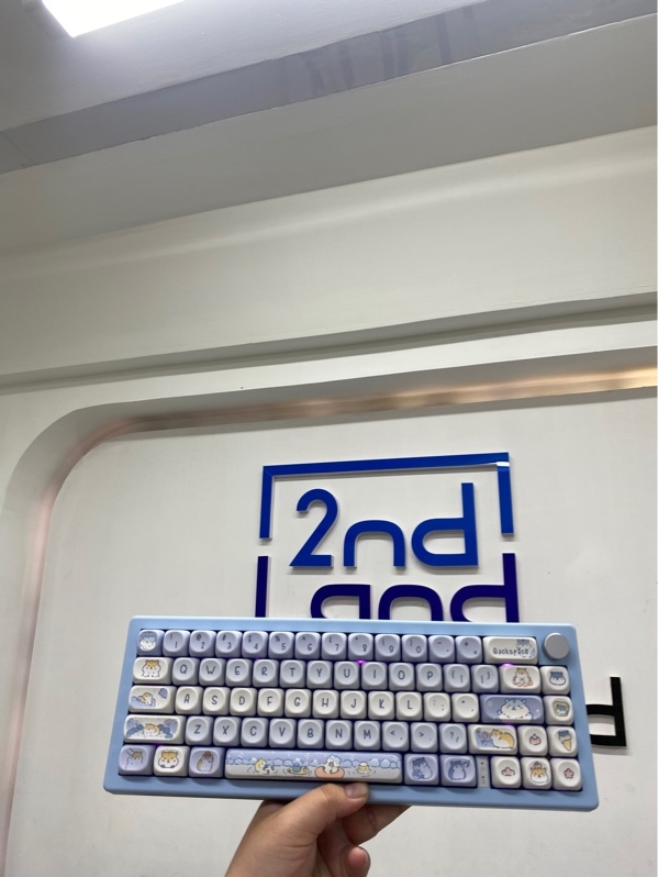 Bàn phím ZUOYA GMK67 - 3 mode ( 2.4G/Bluetooth/dây ) - Akko switch cream blue - Màu xanh - Ngoại hình 98% - Có đèn led, keycap nhựa PBT hình mèo - Kèm dây kết nối, reciever