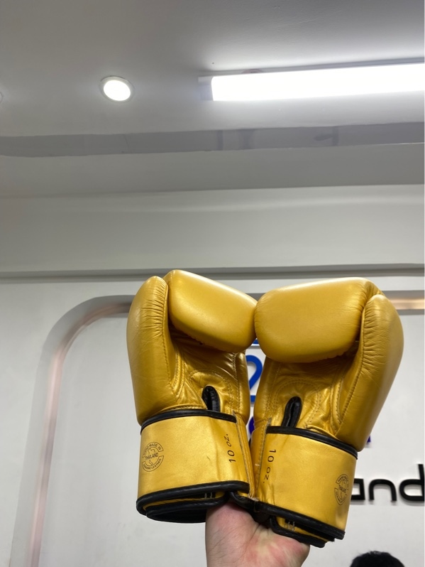 Găng tay Fairtex BGV1 Falcon Limited Edition - Màu vàng gold - Ngoại hình 97.5% - Body