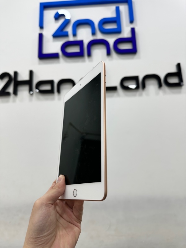 iPad Mini 5 Wifi - ZA/A - 64GB - IOS 14.4.2 - Pin 100% - Màu hồng - Ngoại hình 99% - Body