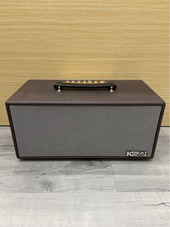 Loa Acnos CS366 Plus - Màu nâu - Ngoại hình: 97% - FullBox