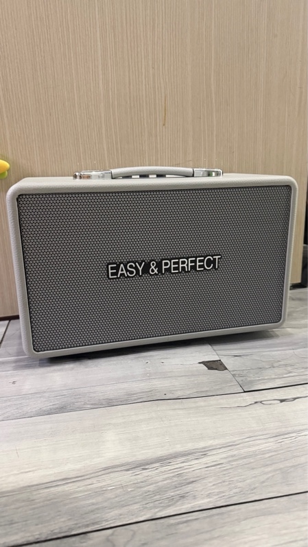 Loa Karaoke Bluetooth Di Động Easy & Perfect EP-4205 Plus - Màu xám - Ngoại hình: 98% - Kèm Box + 2 mic