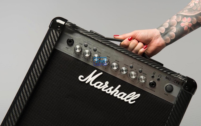 Amplifier Guitar, Loa guitar