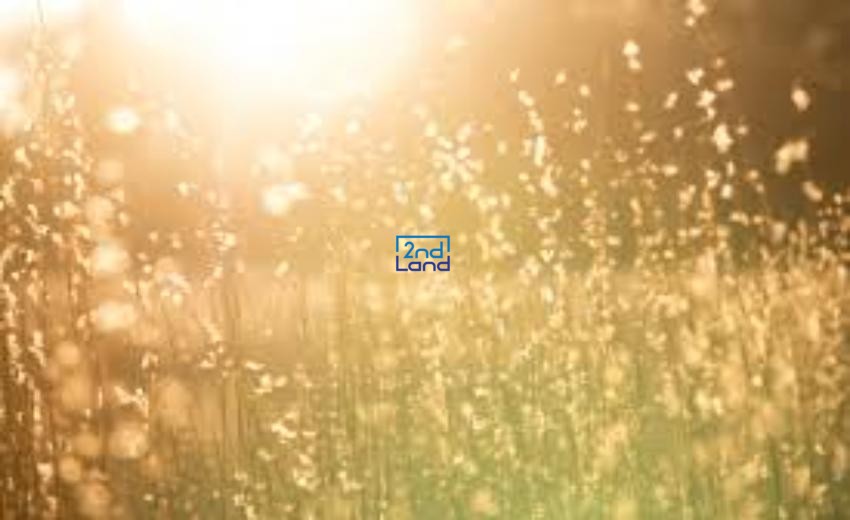 Bokeh là gì? 20