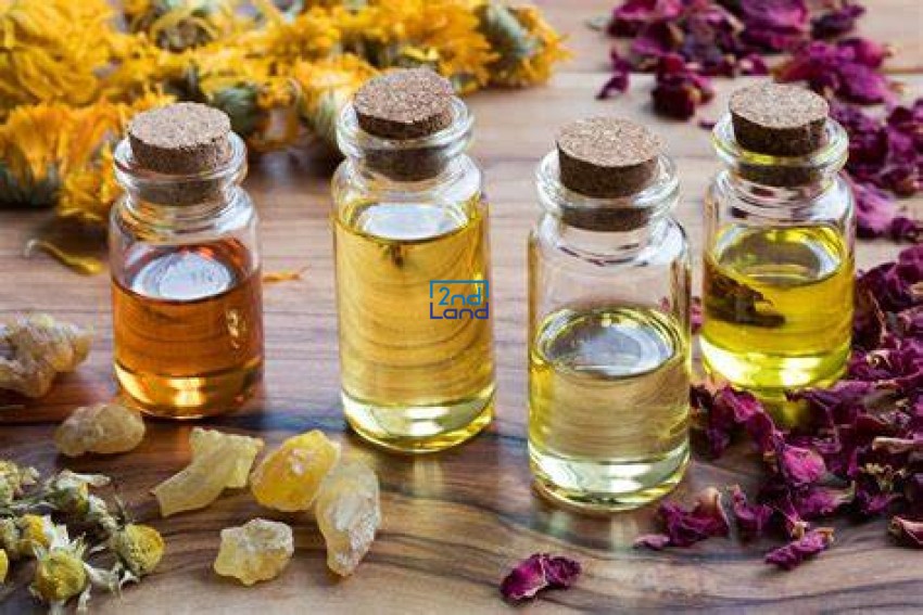 Các nhóm hương nước hoa phổ biến 10