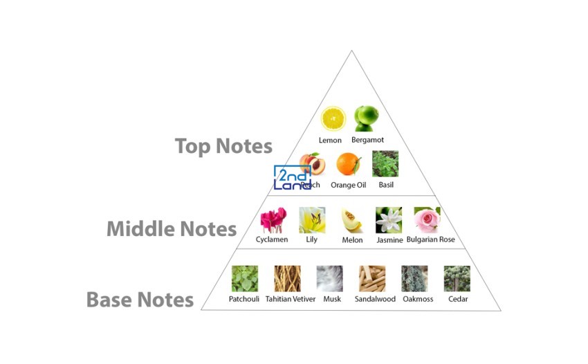 Các nhóm hương nước hoa phổ biến 2