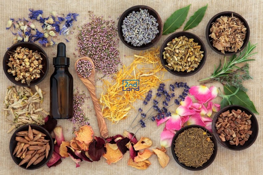 Các nhóm hương nước hoa phổ biến 8