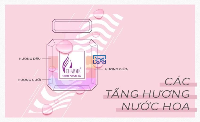 Các tầng hương nước hoa