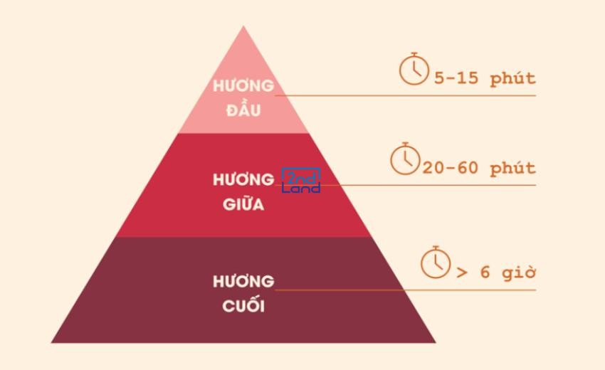 Các tầng hương nước hoa 2