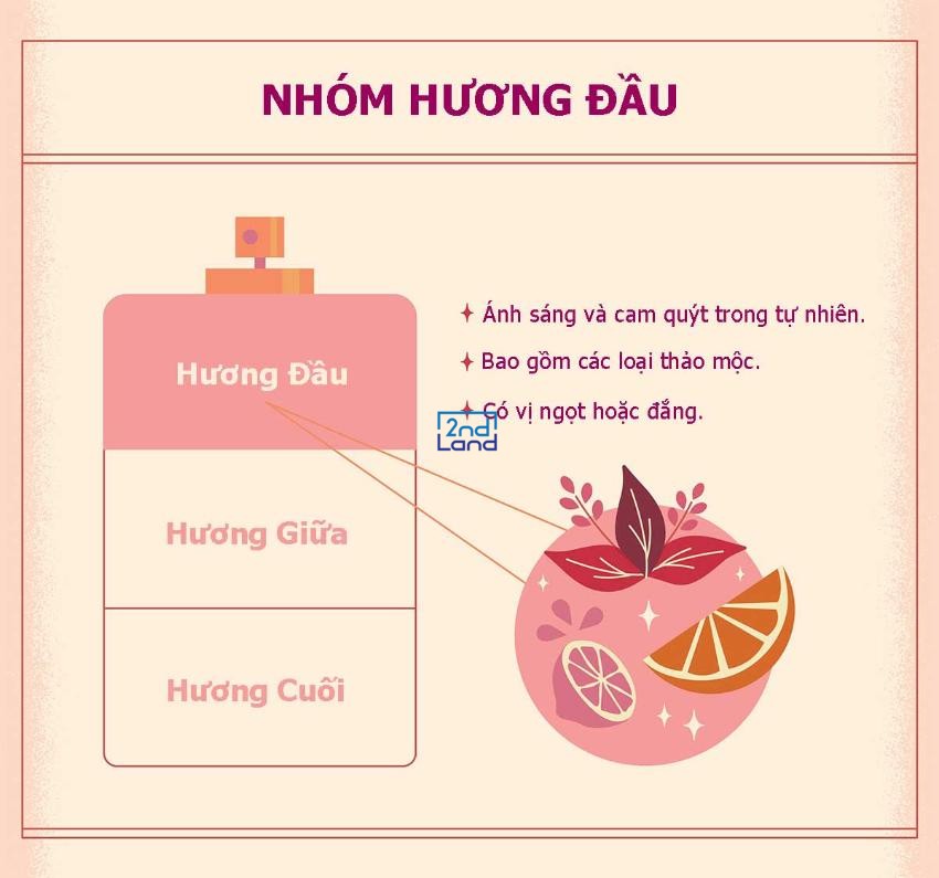 Các tầng hương nước hoa 4