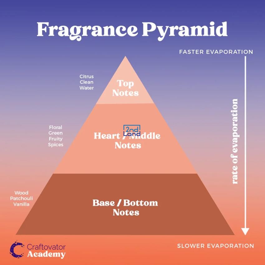 Các tầng hương nước hoa 8