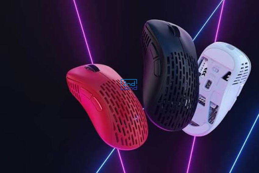 Cho thuê chuột máy tính 2