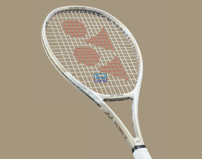 Cho thuê vợt tennis 2