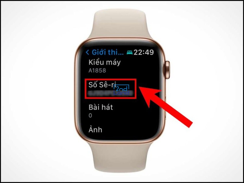 Cách kiểm tra đồng hồ Apple Watch Series SE cũ 5