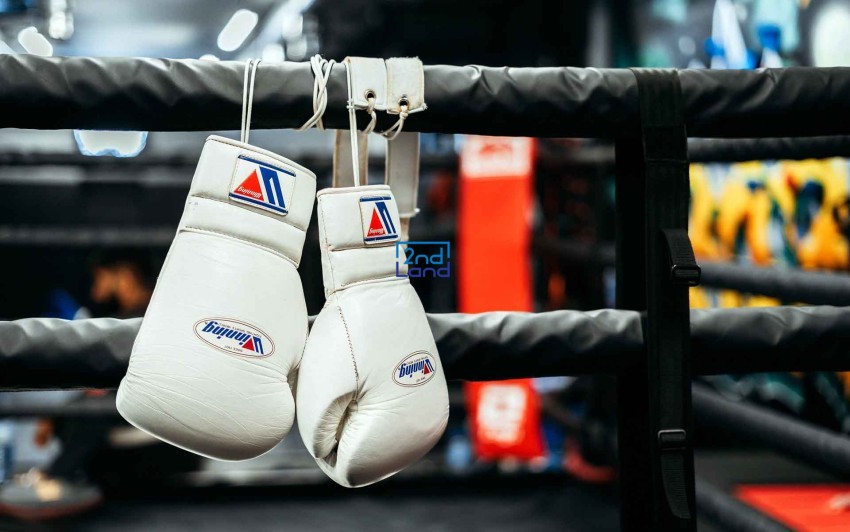 Găng tay Boxing cũ 4