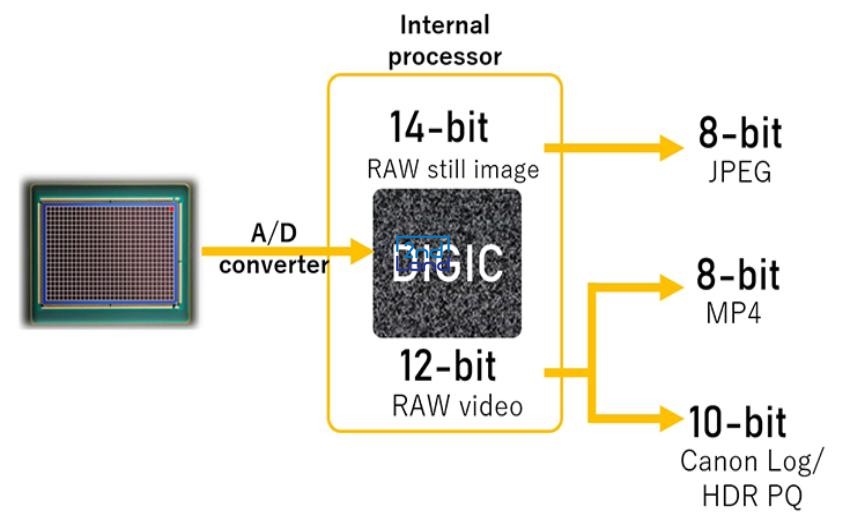 Màu 8 bit vs 10 bit trên màn hình 18
