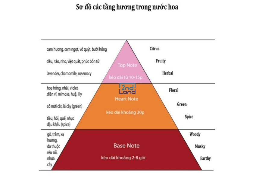 Mùi hương linear và non-linear là gì? 2