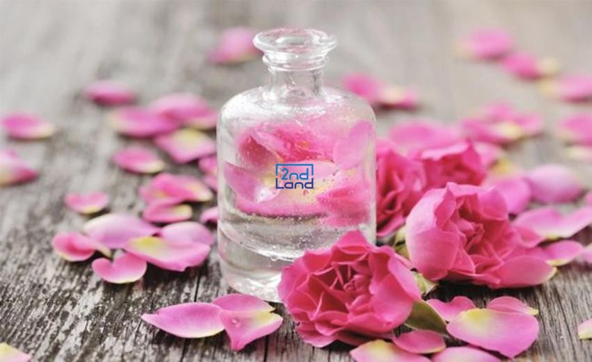 Nước hoa nào hợp mệnh 30