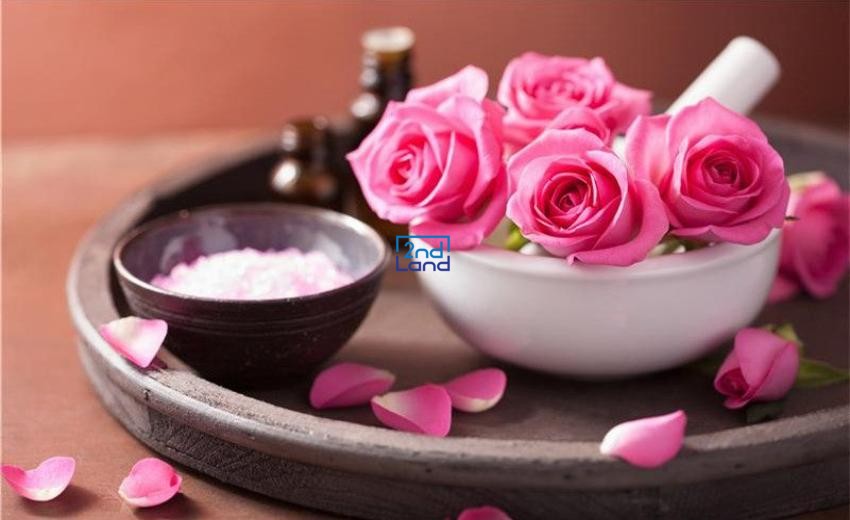Nước hoa nào hợp mệnh 32