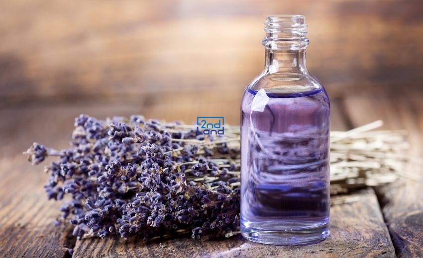 Parfum là gì?