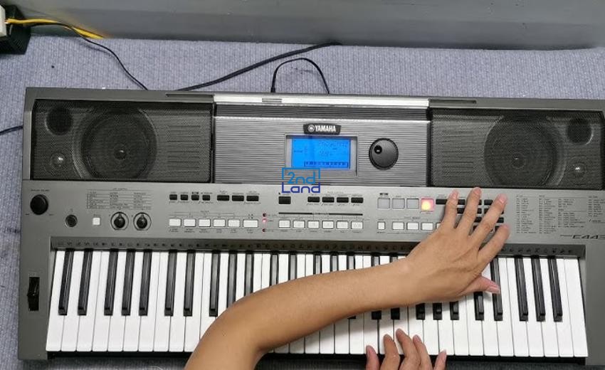 Thu mua đàn organ cũ 8