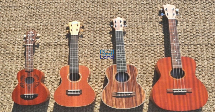 Thu mua đàn ukulele cũ 4