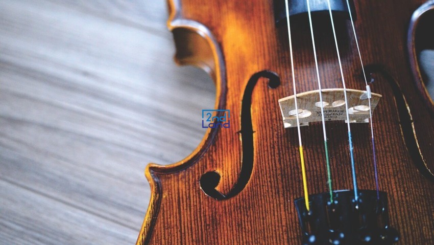Thu mua nhạc cụ cũ tại Hà Nội 4